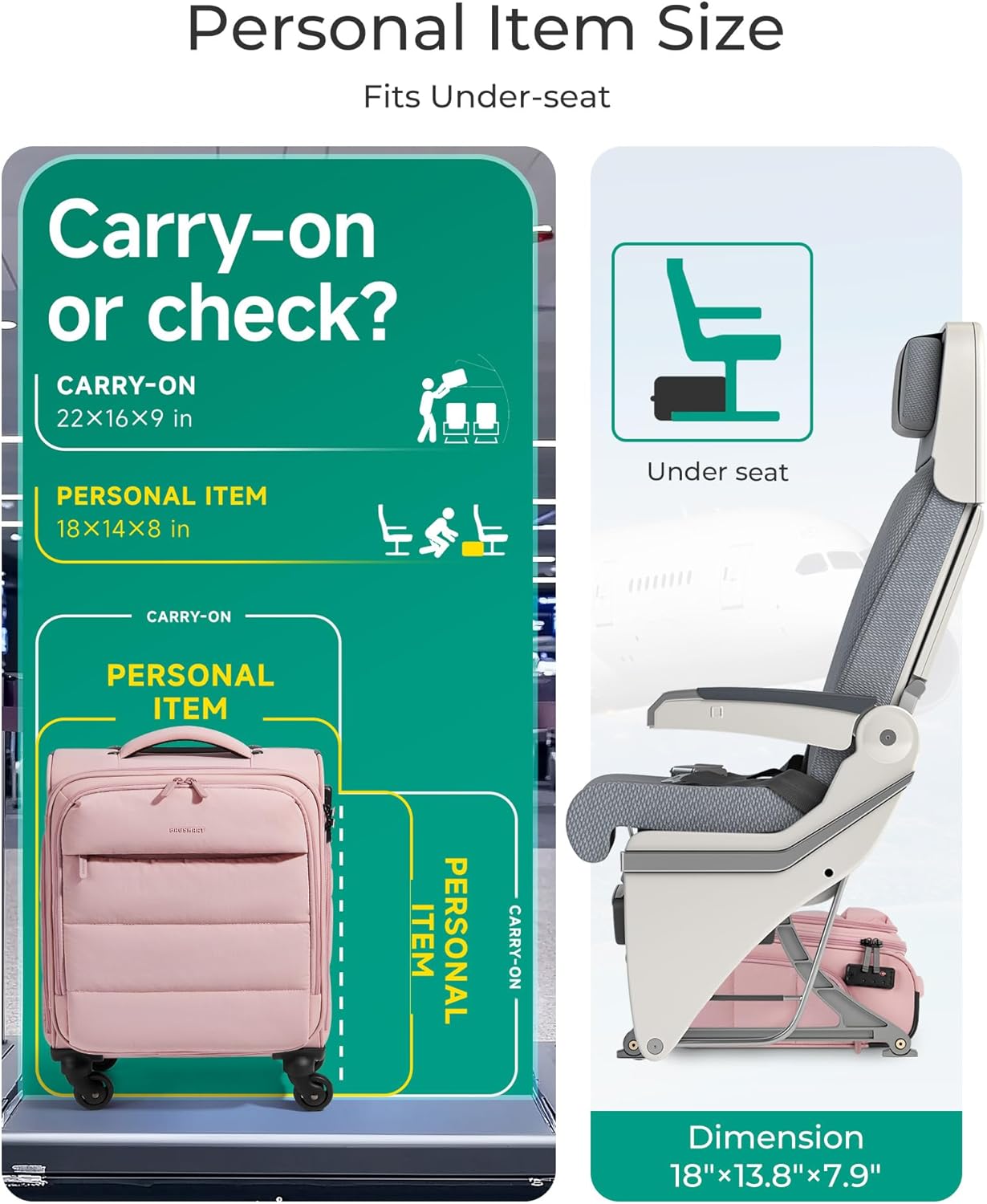 Baggit: Underseat Carry on Luggage with Wheels, Soft Underseat Travel Luggage with PVC Wet/Dry Pockets, Lightweight Soft Personal Item Suitcase for Short Trip,Came