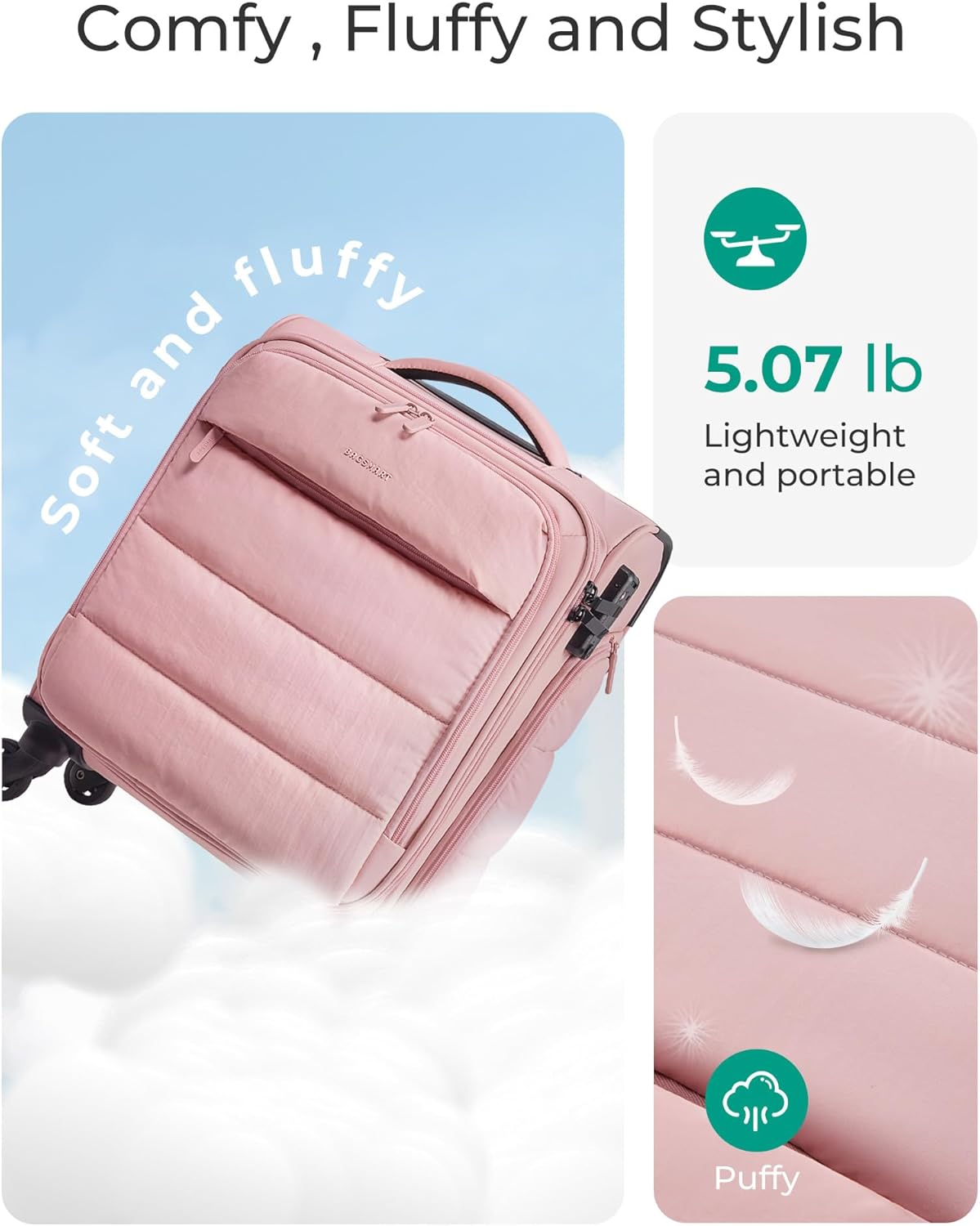 Baggit: Underseat Carry on Luggage with Wheels, Soft Underseat Travel Luggage with PVC Wet/Dry Pockets, Lightweight Soft Personal Item Suitcase for Short Trip,Came