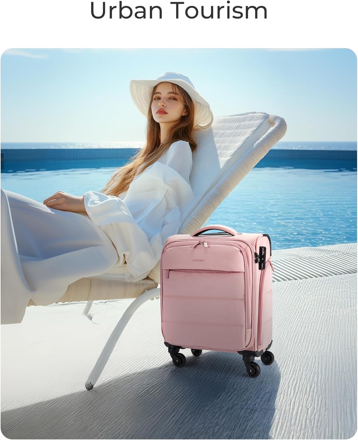 Baggit: Underseat Carry on Luggage with Wheels, Soft Underseat Travel Luggage with PVC Wet/Dry Pockets, Lightweight Soft Personal Item Suitcase for Short Trip,Came